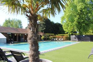 una palmera sentada junto a una piscina en Thermen Londerzeel Hotel, en Londerzeel