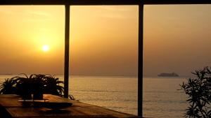 Příroda nedaleko vily