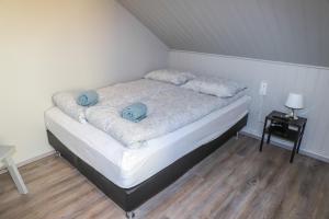 Lava Guesthouse客房内的一张或多张床位