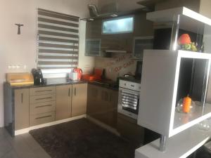 Kuchyň nebo kuchyňský kout v ubytování Apartman Petra 1