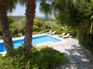 una piscina con 2 palmeras y tumbonas en Belvilla by OYO Can Jurat en Ses Paisses