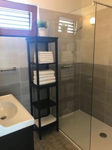 ein Badezimmer mit einer Dusche und einem Regal mit Handtüchern in der Unterkunft Apartments Fijan in Drage