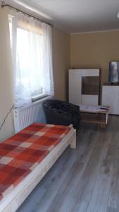 a bedroom with a bed and a couch and a window at Apartament Małgosia in Swarzewo