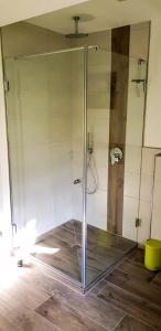 a shower with a glass door in a bathroom at Ferienquartier Winterberg in Winterberg