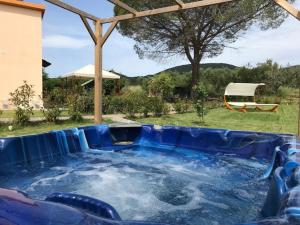 a hot tub with blue water in a backyard at Agriturismo Poggio Tondo in Casa Agresti