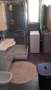 W łazience znajduje się prysznic i umywalka. w obiekcie Apartments Stevo Nikočević w Barze