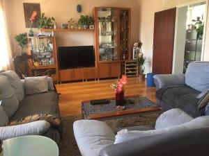 ein Wohnzimmer mit 2 Sofas und einem TV in der Unterkunft Apartments Stevo Nikočević in Bar
