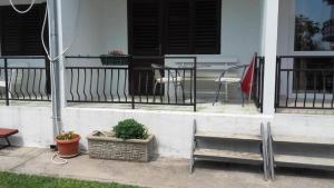 Balkón nebo terasa v ubytování Apartments Stevo Nikočević