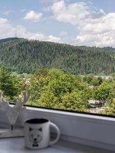 Výhľad na hory alebo výhľad na hory priamo z apartmánu