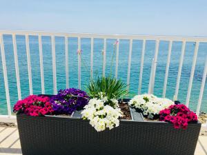 a balcony with flowers and plants on the water at Grand Hotel L'Approdo in Terracina