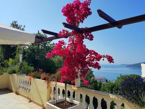 a tree filled with pink flowers on a balcony at Apartments Herceg Novi in Herceg-Novi