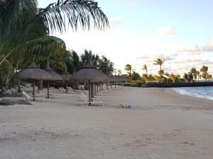 a beach with chairs and umbrellas and the ocean at Azuri Apartment with Beach, Pools, Gym, Golf, Shops, Restaurants, Spa, Boat activities, Tennis &Paddle court, kids corner in Roches Noires