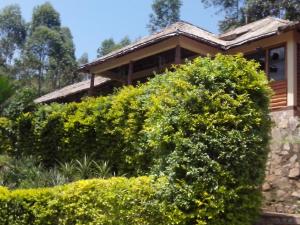 Aed väljaspool majutusasutust Bwindi Forest Lodge