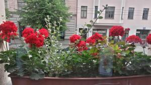 Zahrada ubytování A1 Hotel Riga City Center