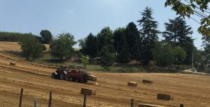 Foto dalla galleria di B&B Le Piote ad Alessandria