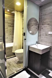 Vannituba majutusasutuses Dahshin Hotel