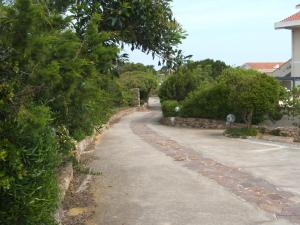 a road with bushes and trees and a building at Una Finestra sul Mare in Calasetta