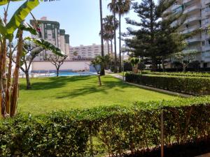 Vonkajšia záhrada v ubytovaní Apartamento Parque playa
