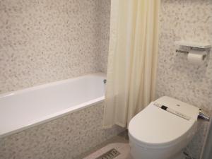 Vannituba majutusasutuses Dahshin Hotel