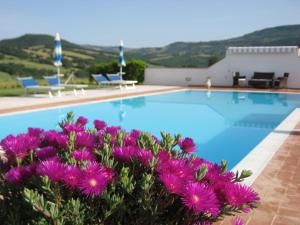 Bazén v ubytování Agriturismo Il Cavallino Saturnia nebo v jeho okolí