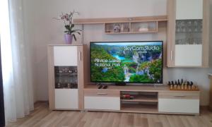 a living room with a flat screen tv on a wooden entertainment center at Apartman Tomić in Korenica