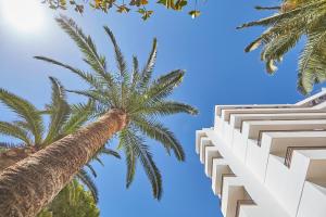 Kép Hotel Principe Wellness&Spa szállásáról Playa de Palmában a galériában