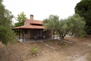 Zahrada ubytování Villa Elea