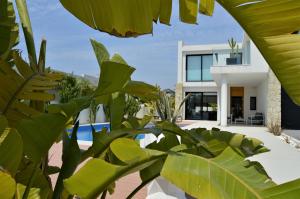 LlobregalesにあるVilla with private poolの緑の家の景色
