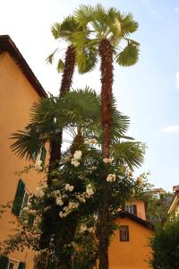 Fotografie z fotogalerie ubytování B&Borgo v destinaci Ascona
