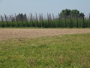 Afbeelding uit fotogalerij van Au Bonheur Frontalier in Steenvoorde +29 foto's