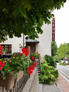 Zahrada ubytování Bed and Breakfast Krone