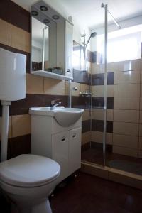 een badkamer met een toilet, een wastafel en een douche bij La Alina in Eforie Sud