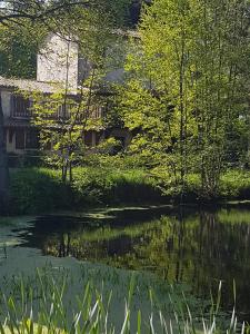 Gallery image of Le Moulin de Charin in La Pommeraie-sur-Sèvre