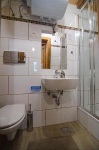 a bathroom with a sink and a toilet and a mirror at Traditional Piran studio in Piran