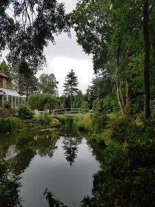 a pond in a garden with a bridge in the background at B&B Dersum Dream in Dersum