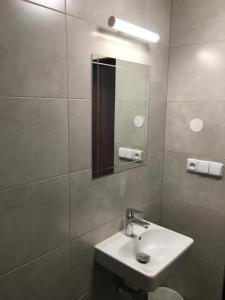 łazienka z umywalką i lustrem w obiekcie Hotel U koně w mieście Beroun +30 zdjęć