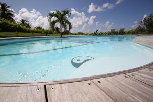 a large swimming pool with blue water and palm trees at Yin & Yang in Sainte-Anne