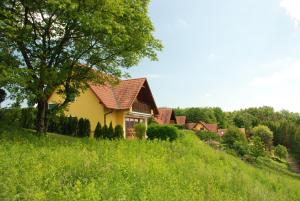 a house on a hill in a field of grass at Ferienwohnung Sommeregger in Leutschach