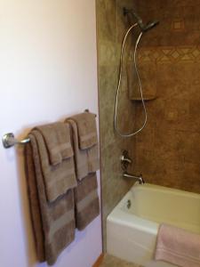 A bathroom at Walk to Indian Rocks Beach Exclusive Use of Hot Tub, Pool, BBQ,with Privacy