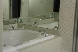 a bathroom with a tub and a large mirror at Apple Annie's Inn in Nashville