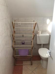 a small bathroom with a toilet and a shelf at Liget apartman in Balatonföldvár +7 photos