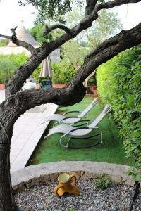 um grupo de cadeiras de jardim e uma árvore em Domus Relax em Selva di Fasano