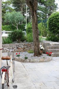 Foto dalla galleria di Domus Relax a Selva di Fasano Altre 44 foto