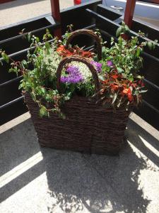 a basket with flowers in it sitting on the ground at Café Blaich - Hotel Garni in Höfen an der Enz