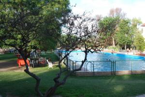 una piscina en un parque con dos árboles en Hotel Savoia Mendoza en Guaymallén