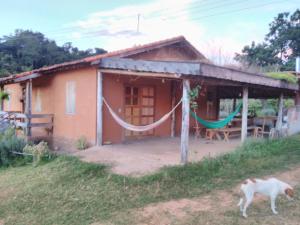 a house with a cat standing in front of it at Sítiio São Miguel projeto agroecológico in Caconde +1 photo