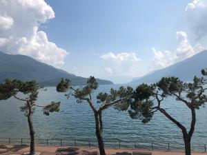 Gallery image of Hotel Mojito in Domaso