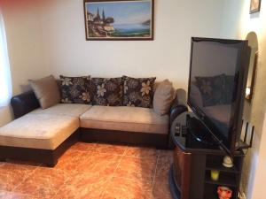 ein Wohnzimmer mit einem Sofa und einem Flachbild-TV in der Unterkunft Julianna apartmanhaz in Balatonlelle