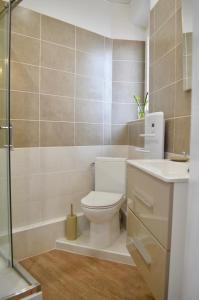 a bathroom with a toilet and a sink and a shower at Studio Liberté Plein Centre in Saint-Raphaël +11 photos