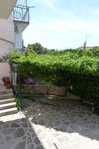 Zahrada ubytování Apartments Čobanov
